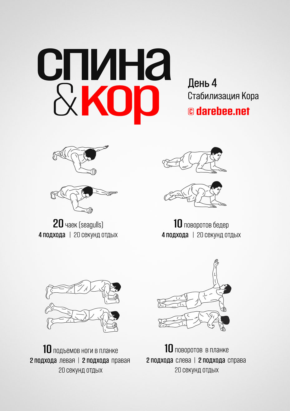 Back and Core - 30 Day Program by DAREBEE