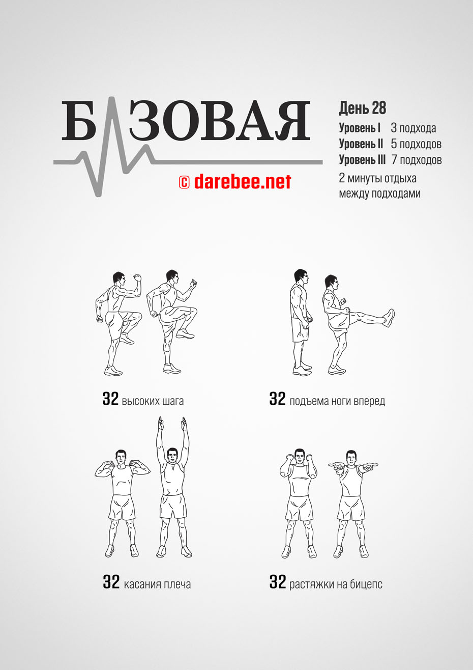 Baseline - 30 Day Low Impact Bodyweight Program