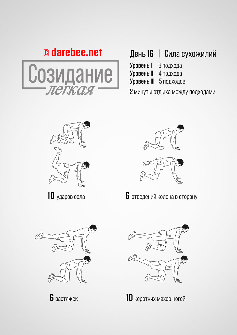 Foundation - 30 Day Low Impact Bodyweight Program