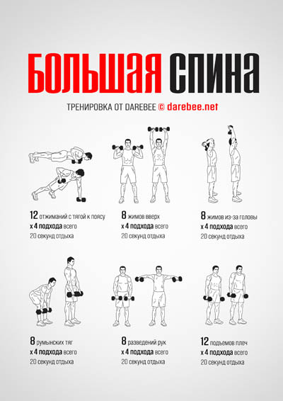 Big Back workout poster 